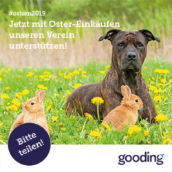 Oster-Spende für unsere Tiere ohne zusätzlich Geld auszugeben Oster-Spende für unsere Tiere ohne zusätzlich Geld auszugeben