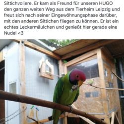 Grüße aus Wien Grüße aus Wien
