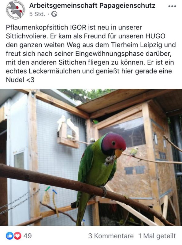 Grüße aus Wien Grüße aus Wien