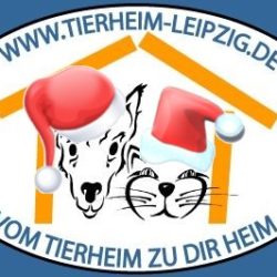 15. Dezember – Advent im Tierheim 15. Dezember – Advent im Tierheim