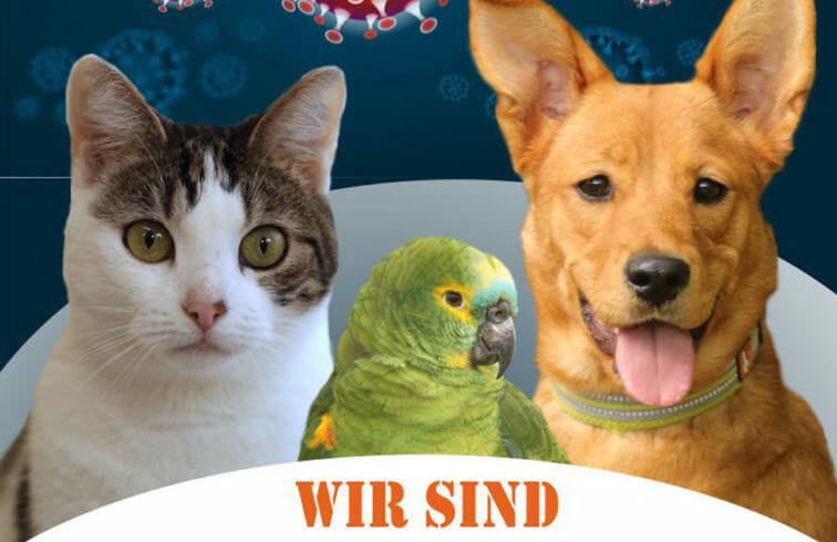 Corona – KEINE Gefahr durch Haustiere Corona – KEINE Gefahr durch Haustiere