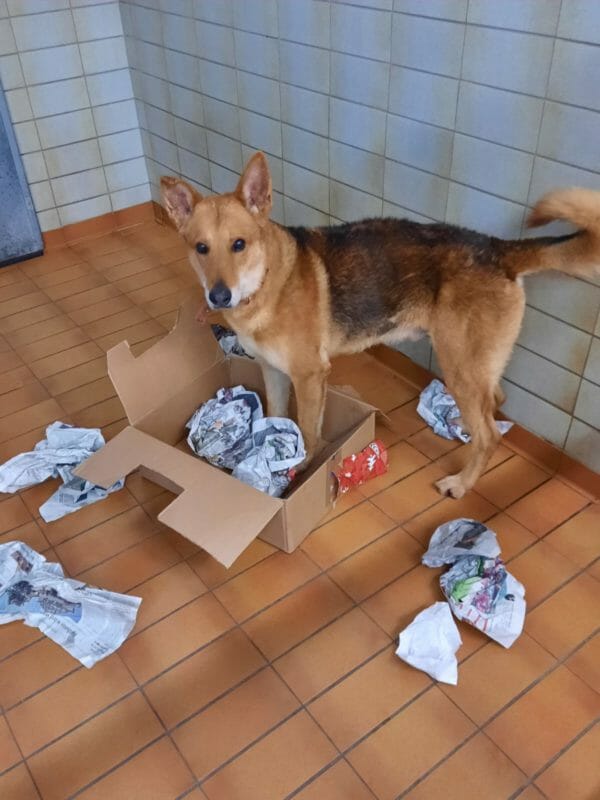 Eine schöne Bescherung Eine schöne Bescherung