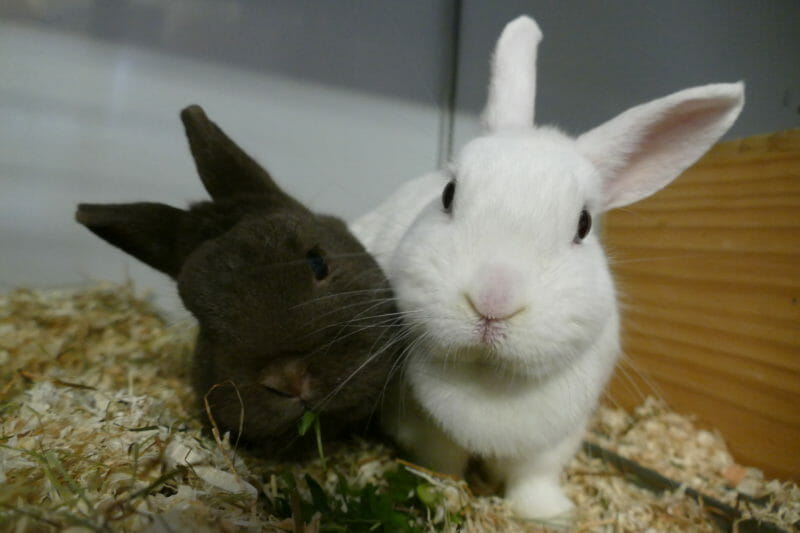 Heidi und Louis Heidi und Louis