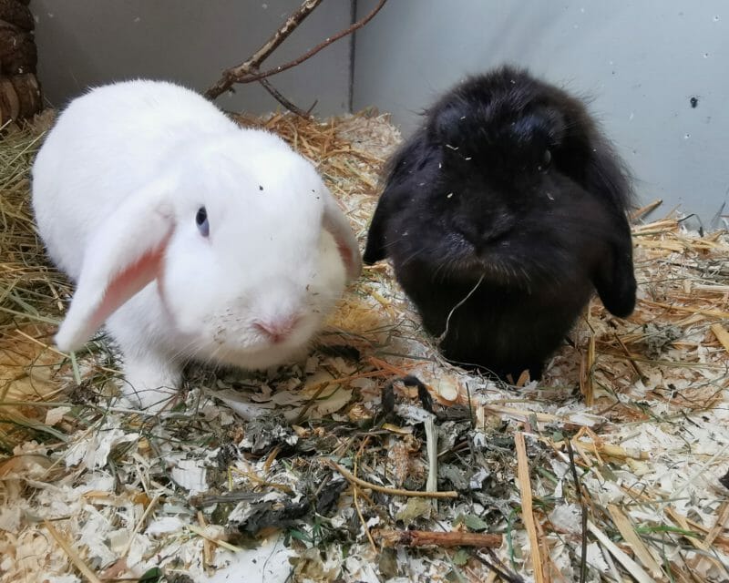 Feli und Summer Feli und Summer
