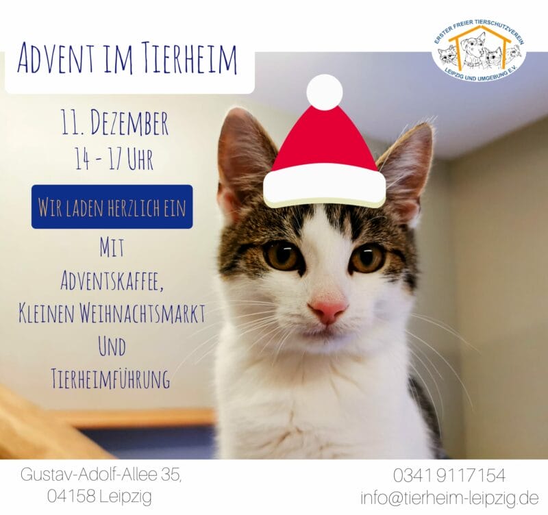 Advent im Tierheim am 11. Dezember von 14.00 – 17.00 Uhr Advent im Tierheim am 11. Dezember von 14.00 – 17.00 Uhr