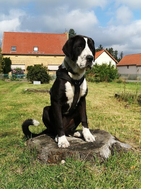 Privatvermittlung: Lotti Privatvermittlung: Lotti