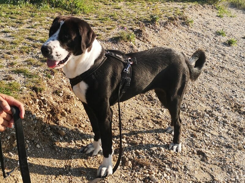 Privatvermittlung: Lotti Privatvermittlung: Lotti