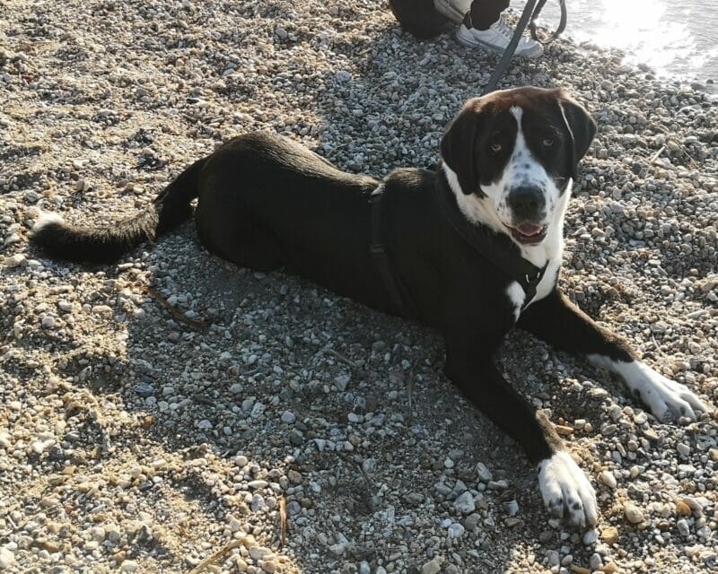 Privatvermittlung: Lotti Privatvermittlung: Lotti