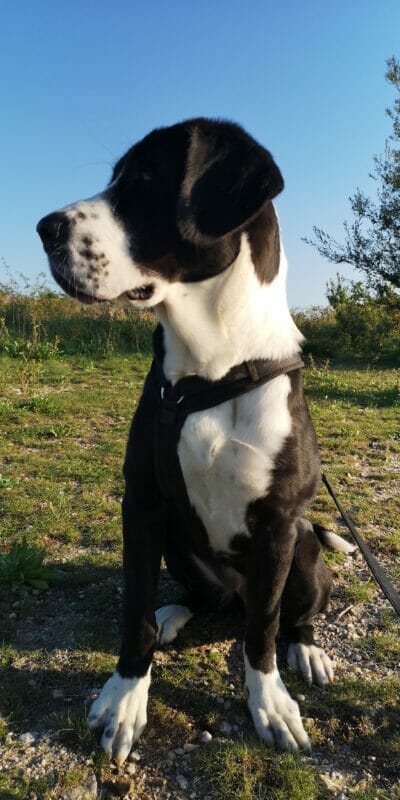 Privatvermittlung: Lotti Privatvermittlung: Lotti