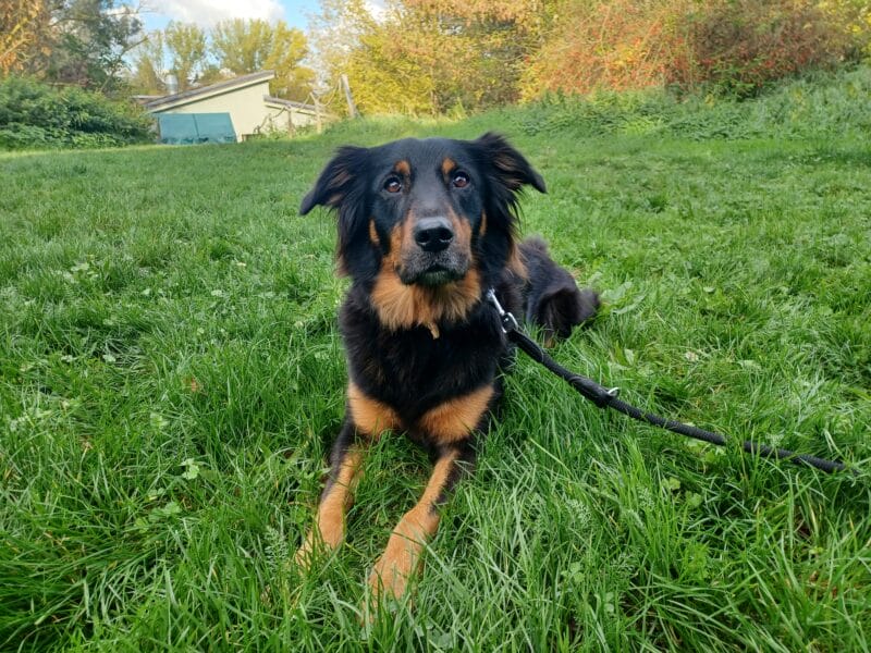 Kira
