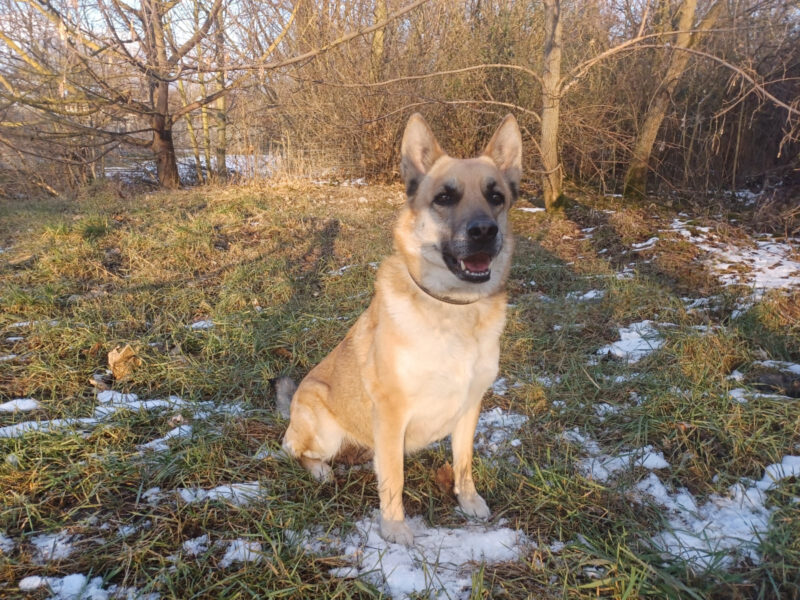 Kira