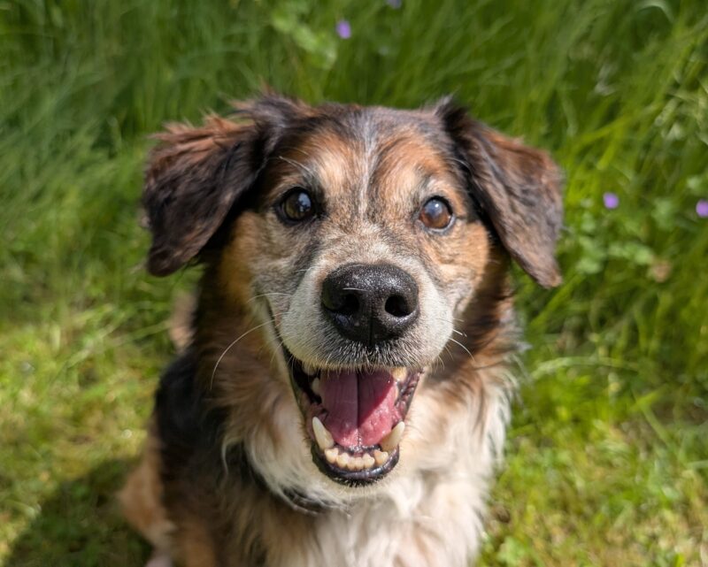 Sam