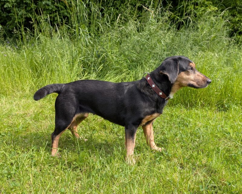 Bella