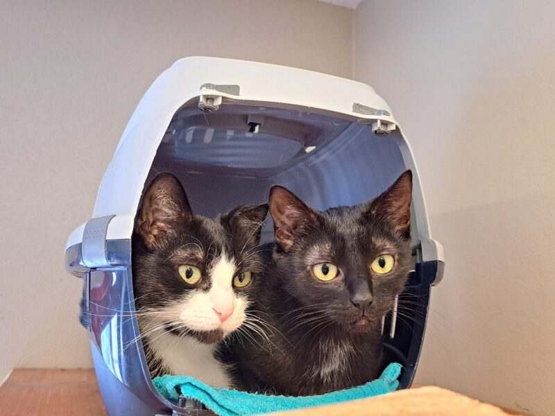 Dorie und Mimi Dorie und Mimi