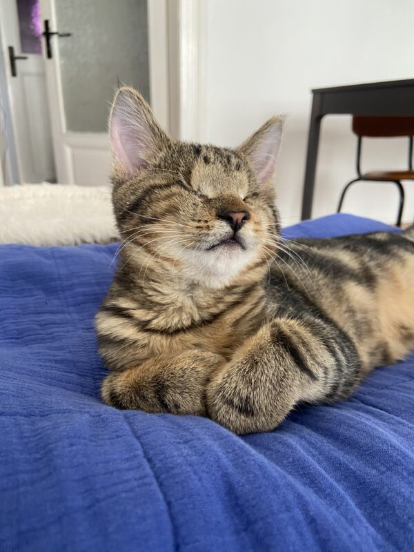 Carl