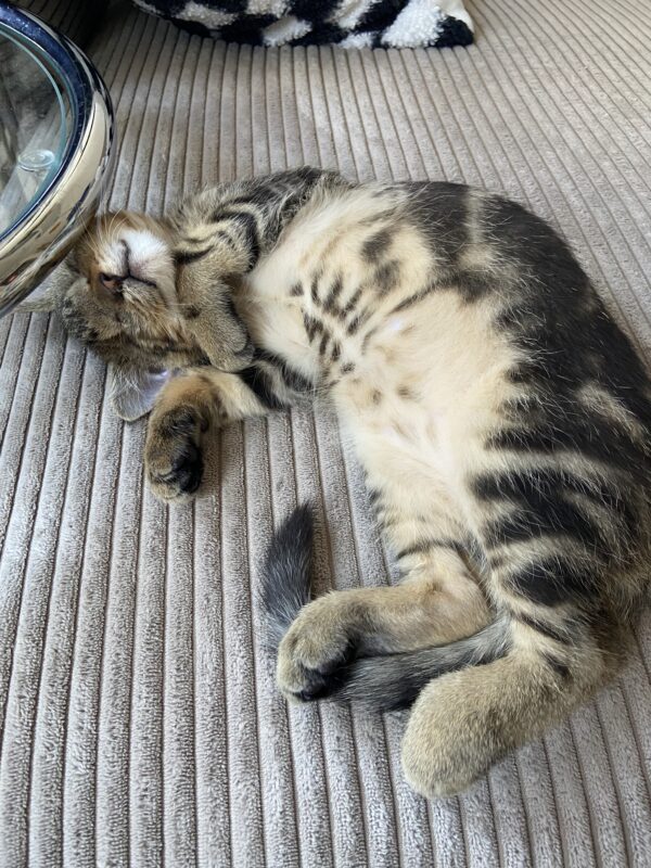 Carl