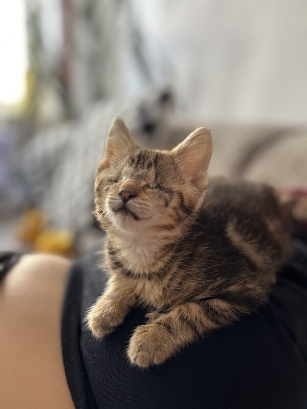 Carl