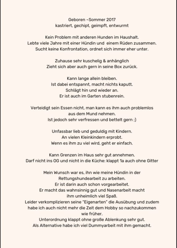 Fennek möchte nicht ins Tierheim