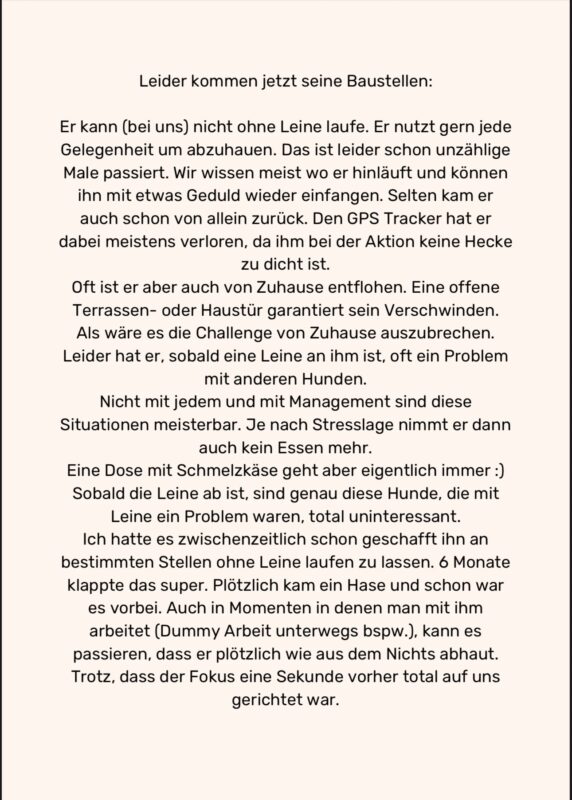 Fennek möchte nicht ins Tierheim