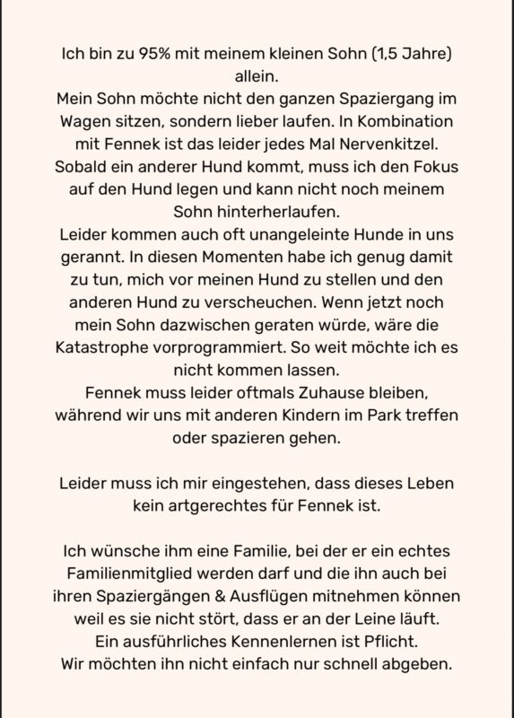 Fennek möchte nicht ins Tierheim