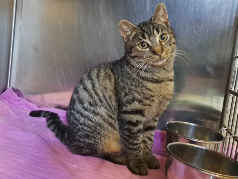 Lowis und Clark Lowis und Clark