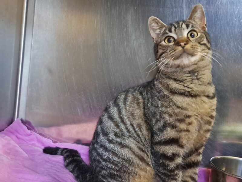 Lowis und Clark Lowis und Clark