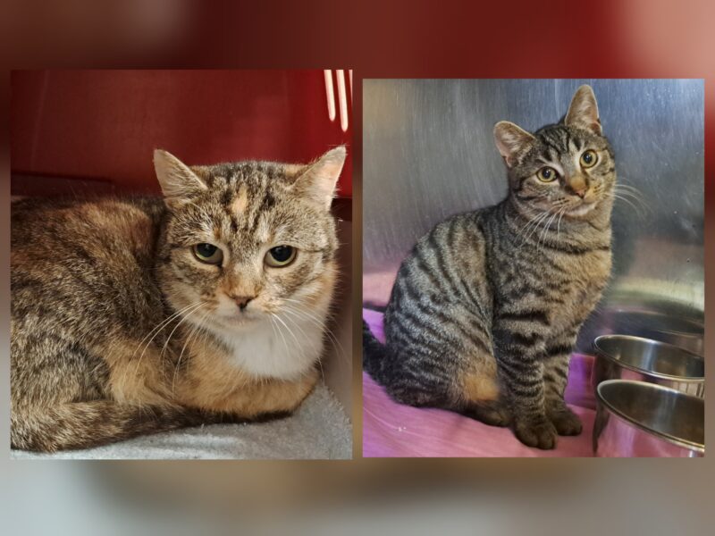 Lowis und Clark Lowis und Clark