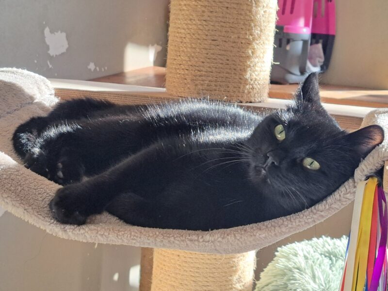 Aschenbrödel Aschenbrödel