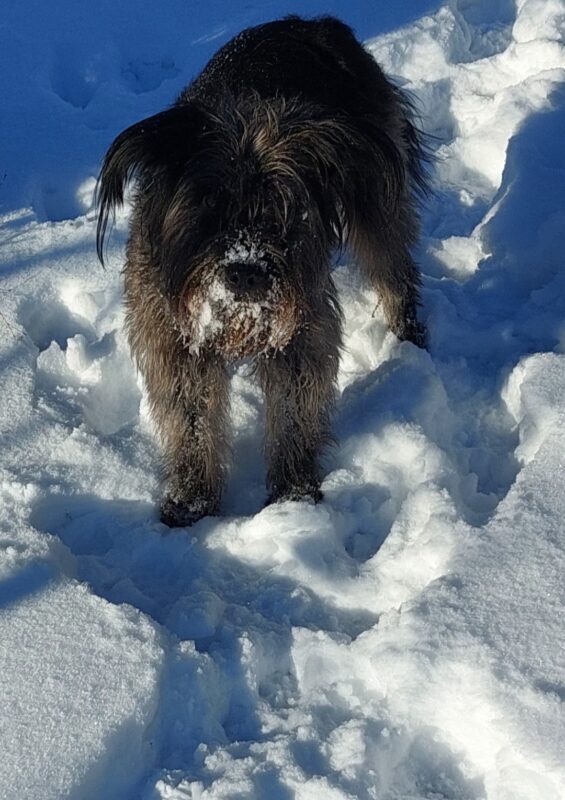 Privatvermittlung Kyra Privatvermittlung Kyra