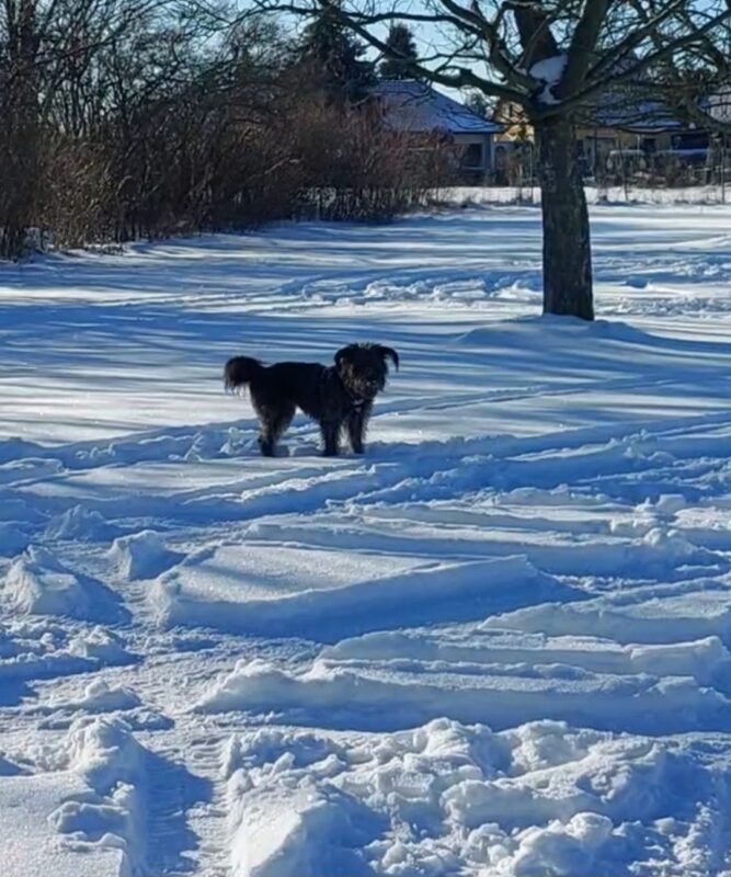 Privatvermittlung Kyra Privatvermittlung Kyra