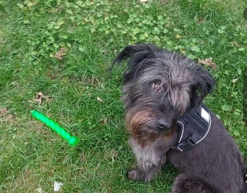 Privatvermittlung Kyra Privatvermittlung Kyra