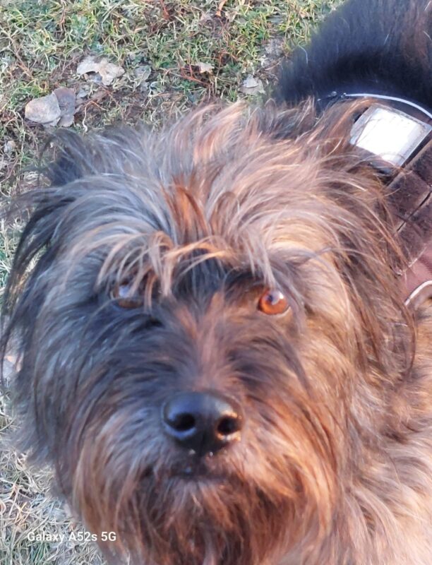 Privatvermittlung Kyra Privatvermittlung Kyra