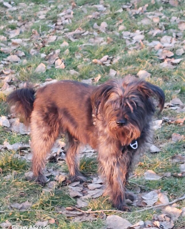 Privatvermittlung Kyra Privatvermittlung Kyra