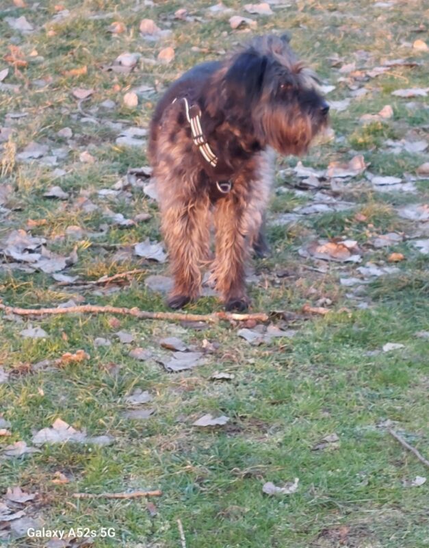 Privatvermittlung Kyra Privatvermittlung Kyra