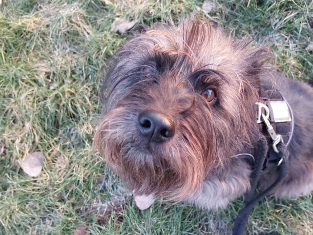 Privatvermittlung Kyra Privatvermittlung Kyra